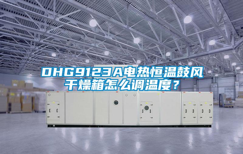 DHG9123A電熱恒溫鼓風干燥箱怎么調(diào)溫度？