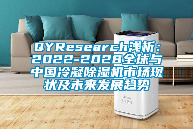 QYResearch淺析：2022-2028全球與中國(guó)冷凝除濕機(jī)市場(chǎng)現(xiàn)狀及未來(lái)發(fā)展趨勢(shì)