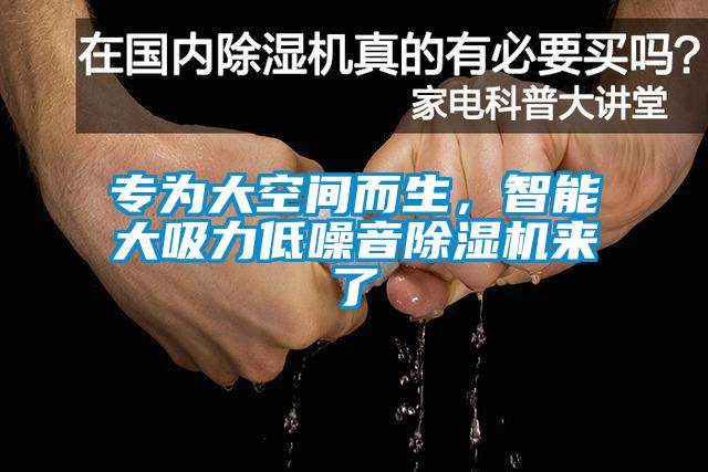 專為大空間而生，智能大吸力低噪音除濕機來了