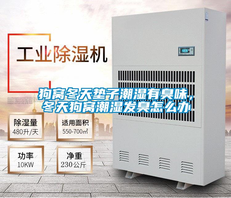 狗窩冬天墊子潮濕有臭味，冬天狗窩潮濕發(fā)臭怎么辦