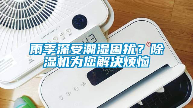 雨季深受潮濕困擾？除濕機(jī)為您解決煩惱