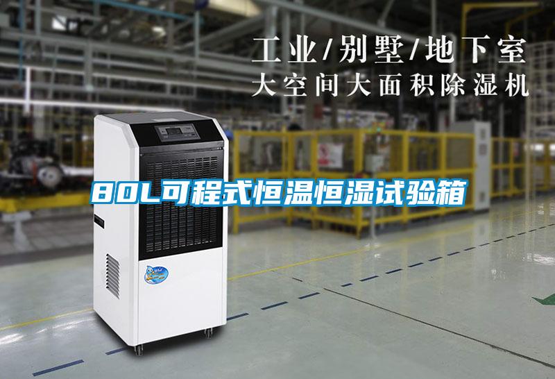 80L可程式恒溫恒濕試驗箱