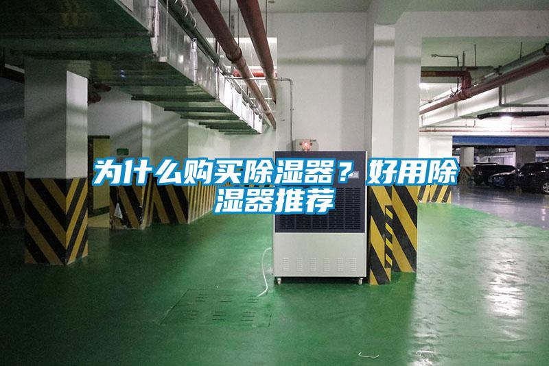 為什么購買除濕器？好用除濕器推薦