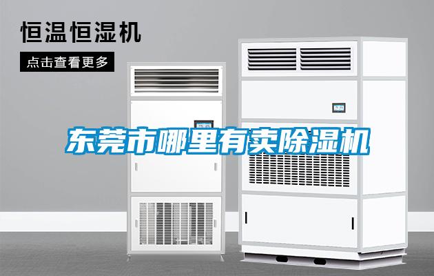 東莞市哪里有賣除濕機
