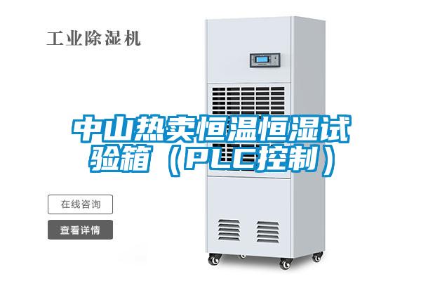 中山熱賣恒溫恒濕試驗(yàn)箱（PLC控制）