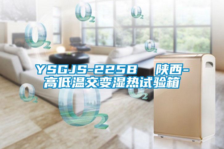 YSGJS-225B  陜西-高低溫交變濕熱試驗(yàn)箱