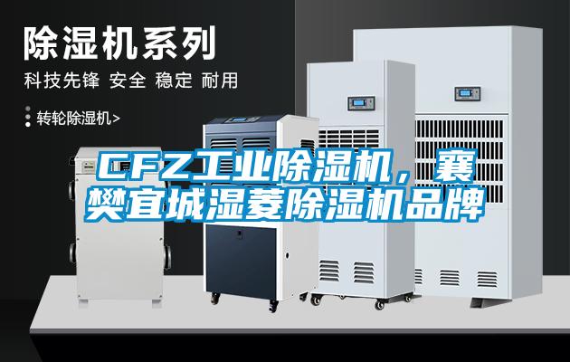 CFZ工業(yè)除濕機，襄樊宜城濕菱除濕機品牌