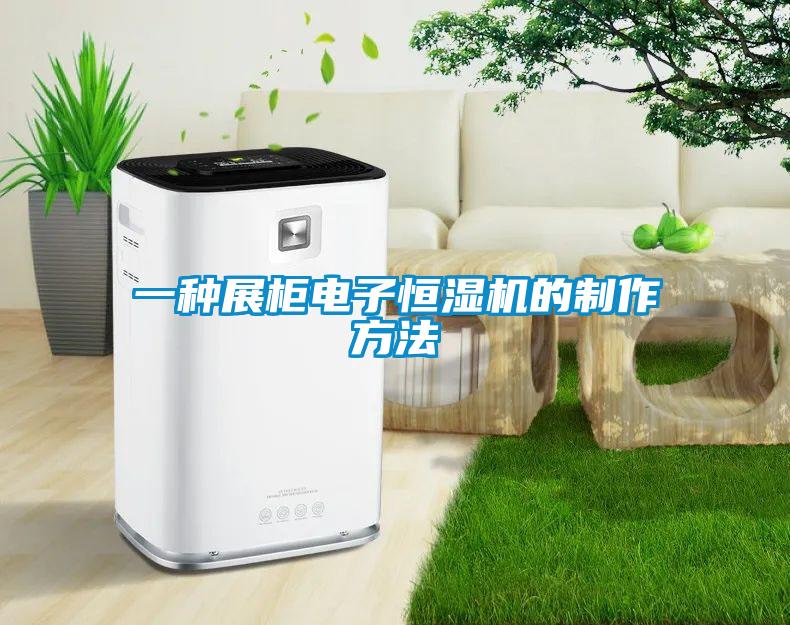 一種展柜電子恒濕機(jī)的制作方法