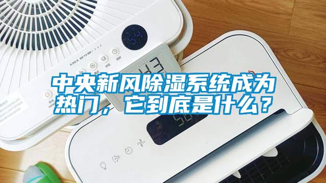 中央新風(fēng)除濕系統(tǒng)成為熱門，它到底是什么？