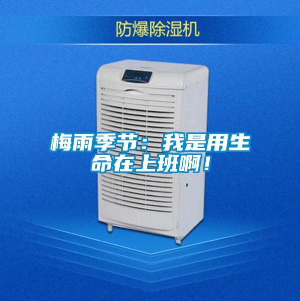 梅雨季節(jié)：我是用生命在上班??！