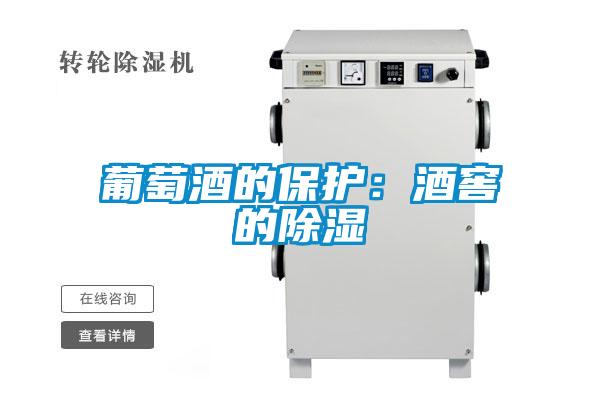 葡萄酒的保護(hù)：酒窖的除濕