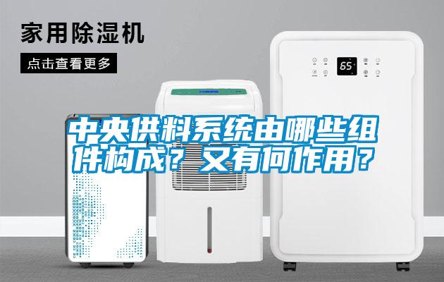 中央供料系統(tǒng)由哪些組件構(gòu)成？又有何作用？
