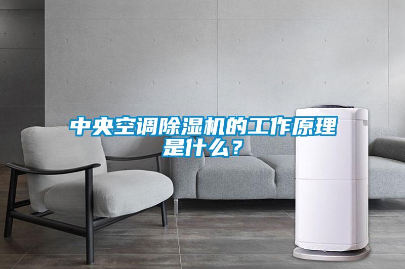 中央空調(diào)除濕機(jī)的工作原理是什么？