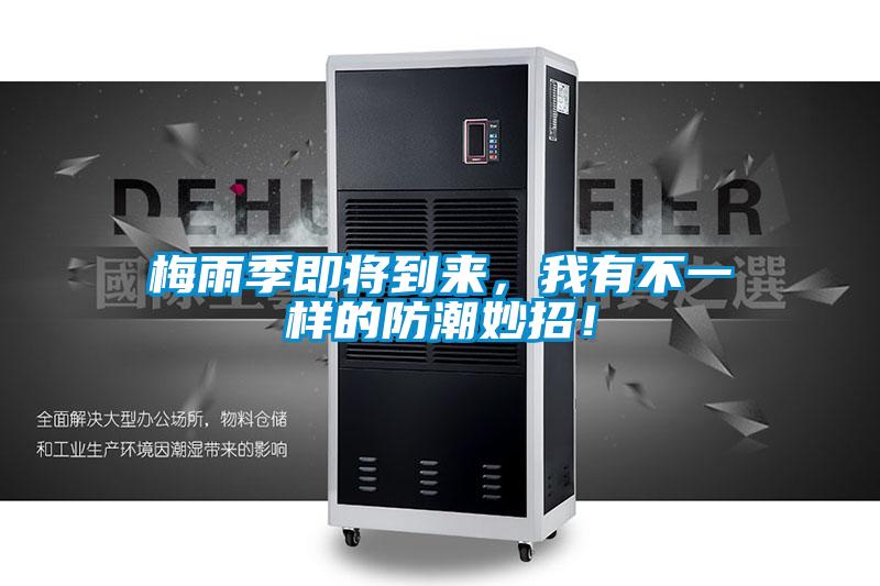 梅雨季即將到來，我有不一樣的防潮妙招！