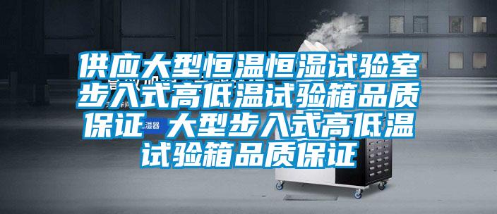 供應大型恒溫恒濕試驗室步入式高低溫試驗箱品質保證 大型步入式高低溫試驗箱品質保證