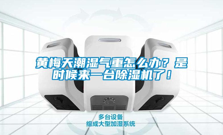 黃梅天潮濕氣重怎么辦？是時(shí)候來(lái)一臺(tái)除濕機(jī)了！