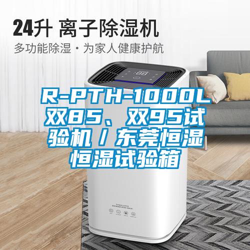 R-PTH-1000L雙85、雙95試驗機／東莞恒濕恒濕試驗箱