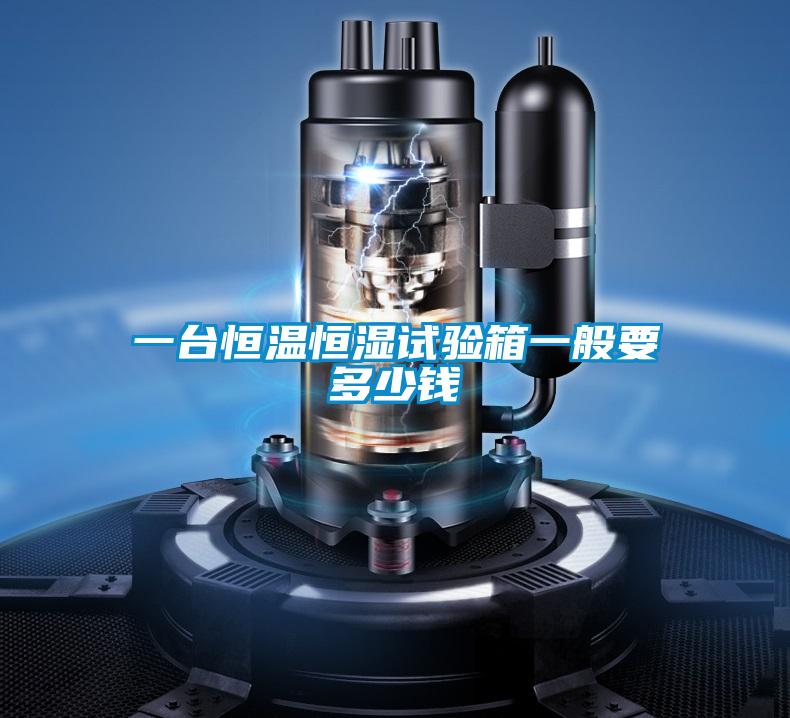 一臺(tái)恒溫恒濕試驗(yàn)箱一般要多少錢(qián)