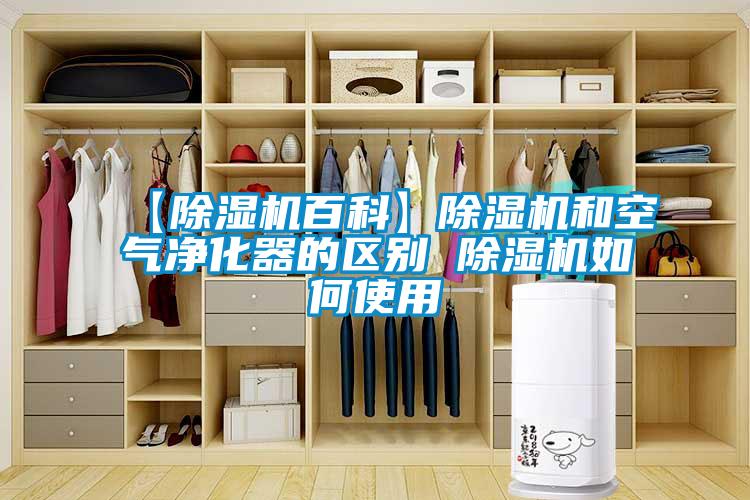 【除濕機百科】除濕機和空氣凈化器的區(qū)別 除濕機如何使用