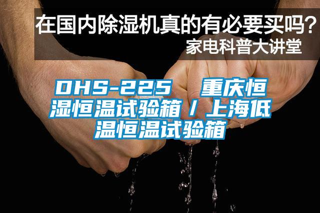 DHS-225  重慶恒濕恒溫試驗箱／上海低溫恒溫試驗箱