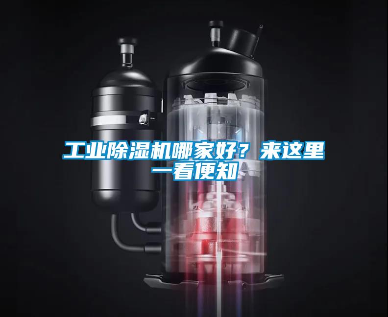 工業(yè)除濕機(jī)哪家好？來這里一看便知