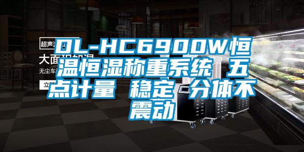 DL-HC6900W恒溫恒濕稱重系統(tǒng) 五點(diǎn)計(jì)量 穩(wěn)定 分體不震動
