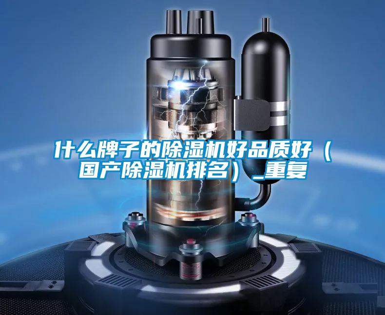 什么牌子的除濕機好品質(zhì)好（國產(chǎn)除濕機排名）_重復(fù)