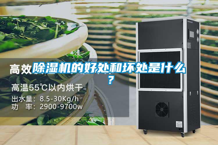 除濕機(jī)的好處和壞處是什么？