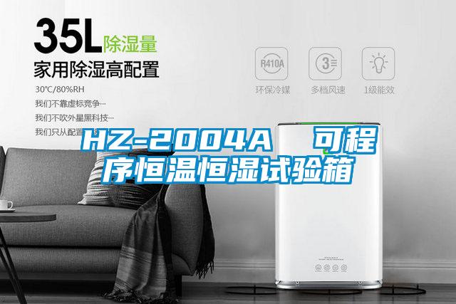 HZ-2004A  可程序恒溫恒濕試驗(yàn)箱