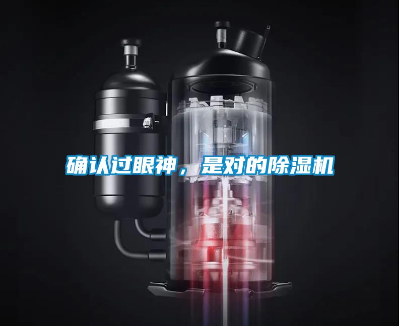 確認(rèn)過眼神，是對的除濕機