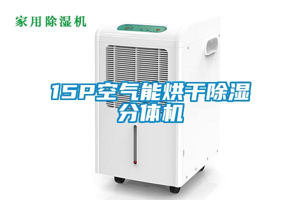 15P空氣能烘干除濕分體機