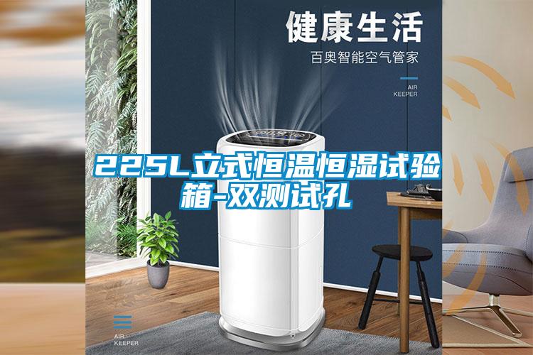 225L立式恒溫恒濕試驗(yàn)箱-雙測(cè)試孔