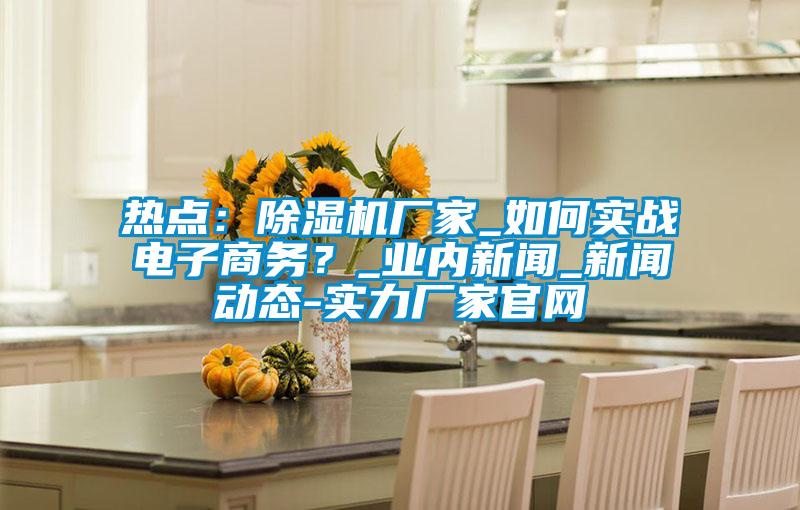 熱點(diǎn)：除濕機(jī)廠家_如何實(shí)戰(zhàn)電子商務(wù)？_業(yè)內(nèi)新聞_新聞動態(tài)-實(shí)力廠家官網(wǎng)