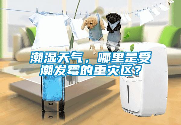 潮濕天氣，哪里是受潮發(fā)霉的重災(zāi)區(qū)？