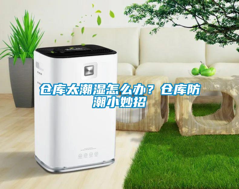 倉庫太潮濕怎么辦？倉庫防潮小妙招