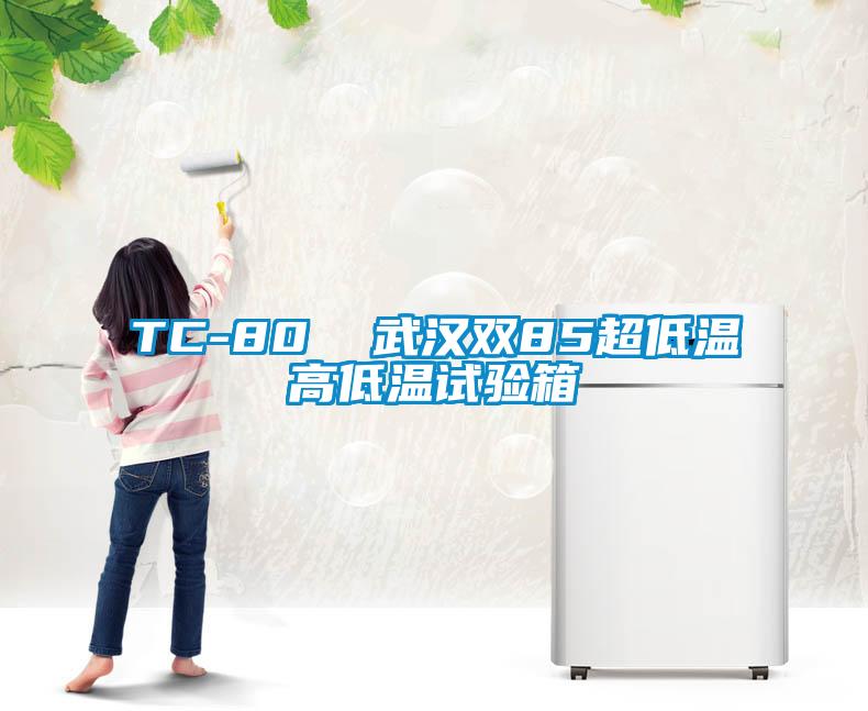 TC-80  武漢雙85超低溫高低溫試驗箱