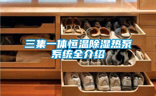 三集一體恒溫除濕熱泵系統(tǒng)全介紹