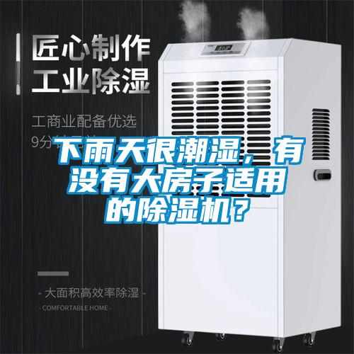下雨天很潮濕，有沒有大房子適用的除濕機？