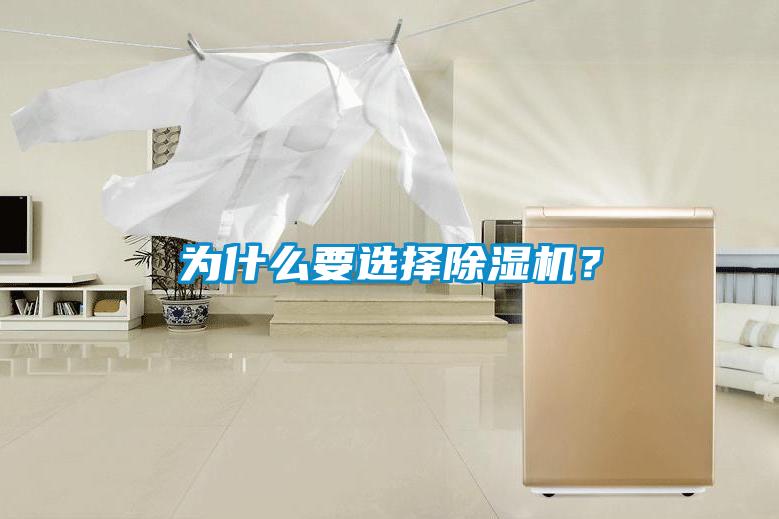 為什么要選擇除濕機(jī)？