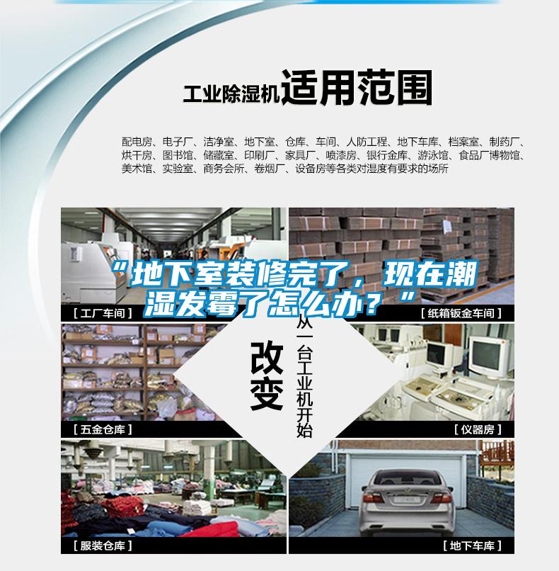 “地下室裝修完了，現(xiàn)在潮濕發(fā)霉了怎么辦？”
