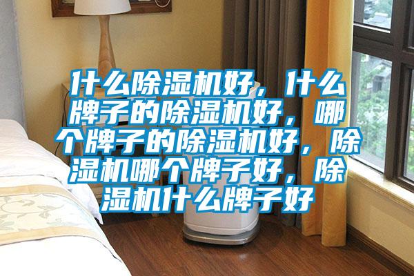 什么除濕機好，什么牌子的除濕機好，哪個牌子的除濕機好，除濕機哪個牌子好，除濕機什么牌子好
