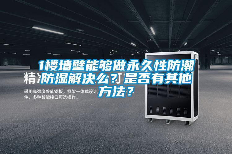 1樓墻壁能夠做永久性防潮防濕解決么？是否有其他方法？
