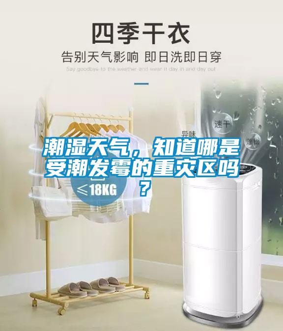 潮濕天氣，知道哪是受潮發(fā)霉的重災(zāi)區(qū)嗎？