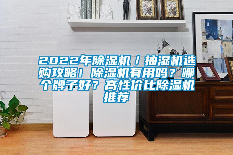 2022年除濕機(jī)／抽濕機(jī)選購攻略！除濕機(jī)有用嗎？哪個(gè)牌子好？高性價(jià)比除濕機(jī)推薦