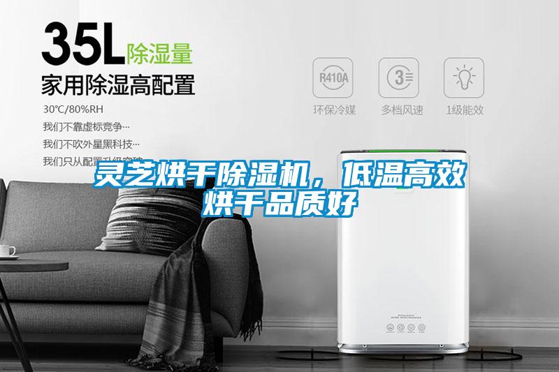 靈芝烘干除濕機(jī)，低溫高效烘干品質(zhì)好