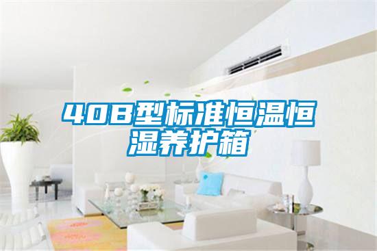 40B型標準恒溫恒濕養(yǎng)護箱