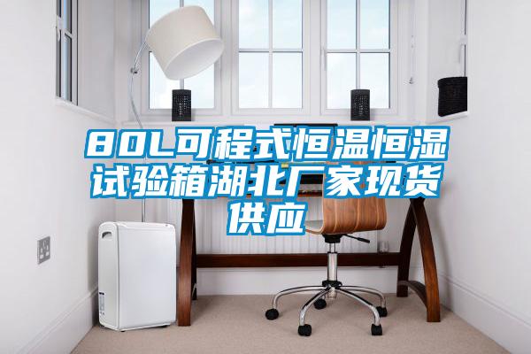 80L可程式恒溫恒濕試驗箱湖北廠家現(xiàn)貨供應(yīng)