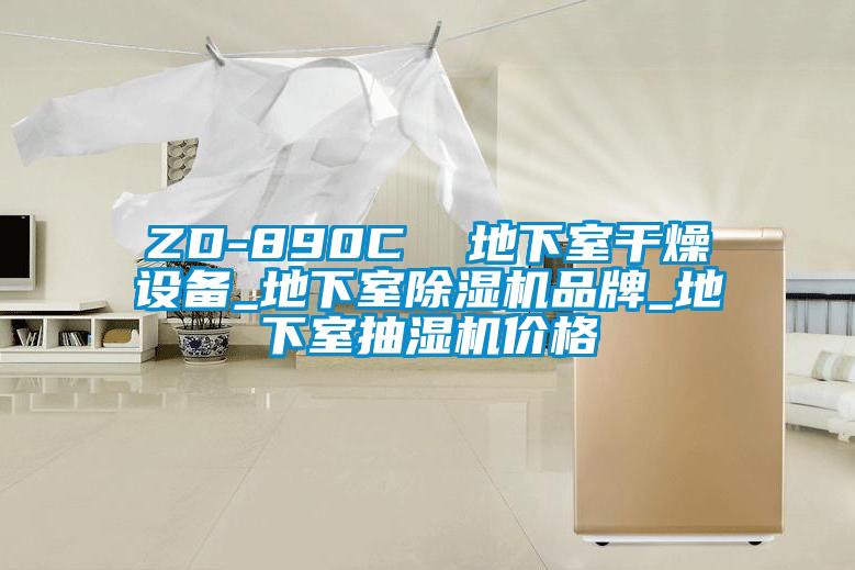 ZD-890C  地下室干燥設(shè)備_地下室除濕機品牌_地下室抽濕機價格
