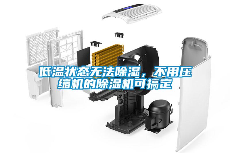 低溫狀態(tài)無法除濕，不用壓縮機的除濕機可搞定