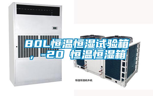 80L恒溫恒濕試驗箱，-20℃恒溫恒濕箱